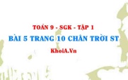 Bài 5 trang 10 Toán 9 Chân trời sáng tạo Tập 1